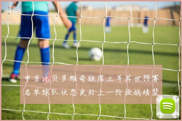 申京比贝罗维奇缺席土耳其世预赛名单球队状态良好上一阶段战绩斐然