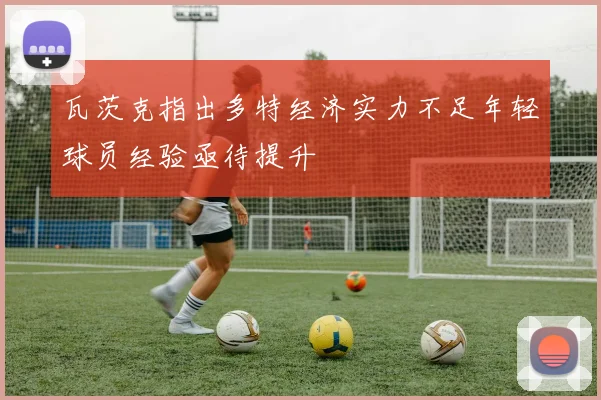 瓦茨克指出多特经济实力不足年轻球员经验亟待提升