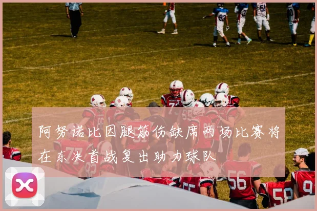 阿努诺比因腿筋伤缺席两场比赛将在东决首战复出助力球队